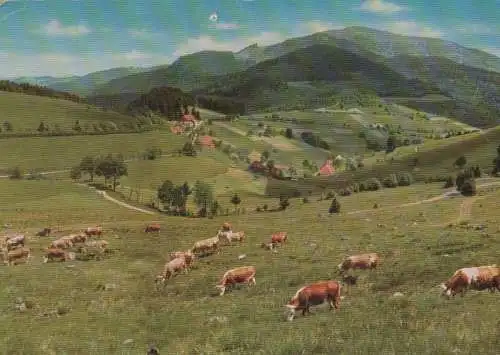 Schwarzwald - südl. Hochschwarzwald - ca. 1980