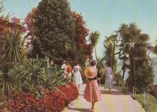 Mainau - Palmengarten - 1958