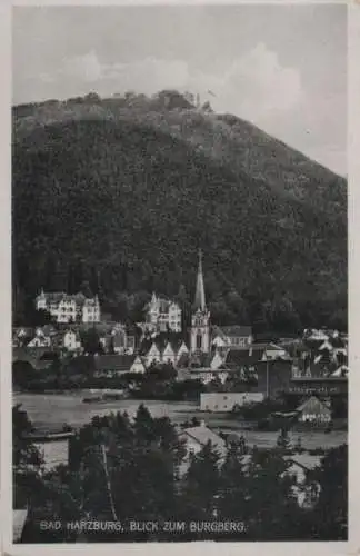 Bad Harzburg - Blick zum Burgberg - 1948