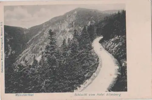 Münsterthal - Schlucht vom Hotel Altenberg - ca. 1915