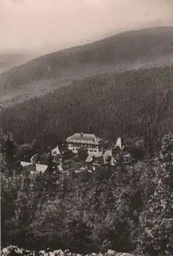 Altenberg-Bärenfels - Blick vom Spitzberg - ca. 1975