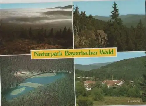 Bayerischer Wald - 4 Bilder