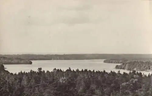 Werbellinsee - Blick vom Feuerwachturm