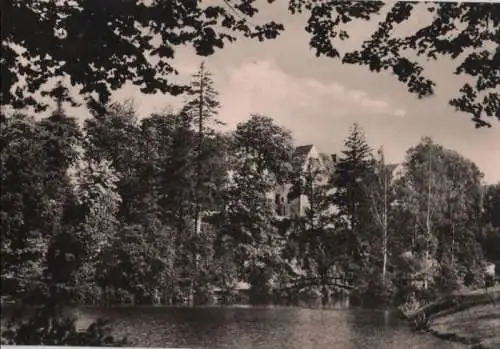 Pfaffroda bei Olbernhau - Schloßparkteich - 1977