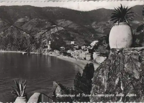 Italien - Monterosso al Mare - Italien - Passeggiata del Agave