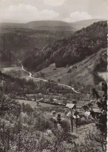 Steigerwald - Böhlgrund