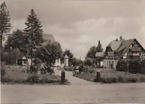 Altenberg-Bärenburg - Omnibushalteplatz - 1971