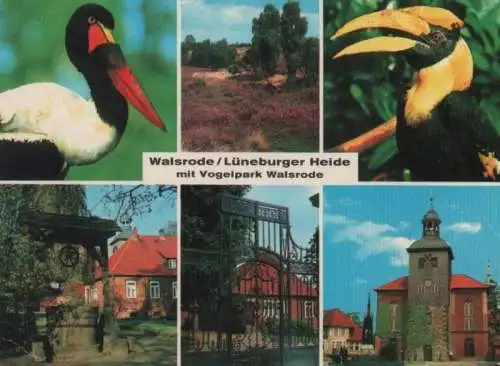 Walsrode - Vogelpark - ca. 1985