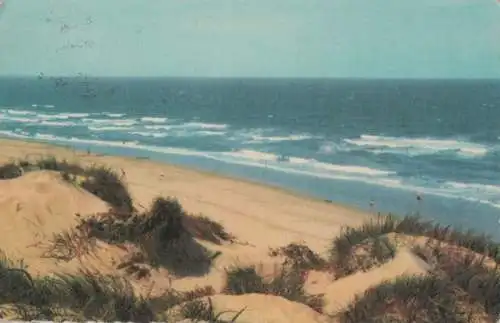 Dünen am Meer - 1965