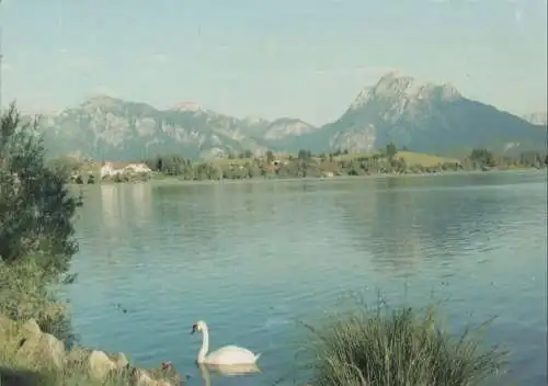 Füssen-Hopfen am See - Hopfensee