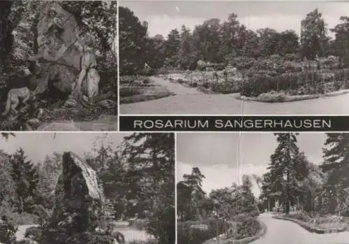 Sangerhausen - Rosarium - 1984