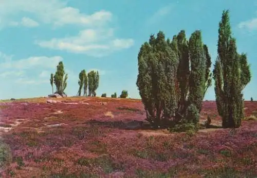 Lüneburger Heide - ca. 1980