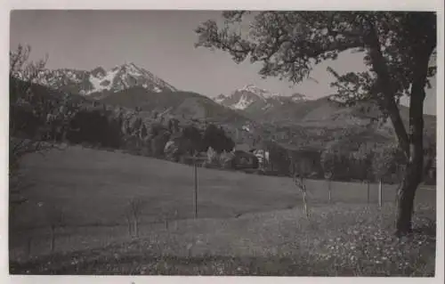 größere Wiese im Gebirge