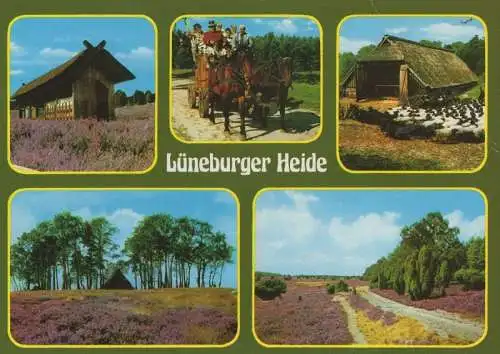 Lüneburger Heide - 5 Bilder