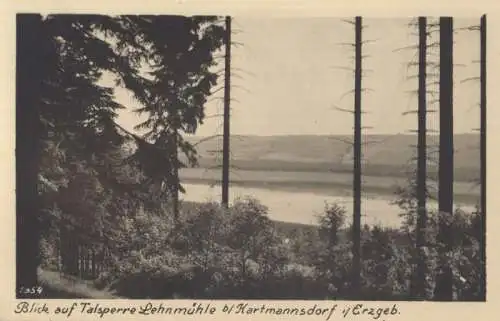 Erzgebirge - Talsperre Lehnmühle bei Kartmannsdorf