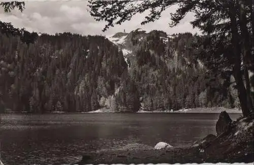 Feldberg / Schwarzwald - Feldsee - 1963