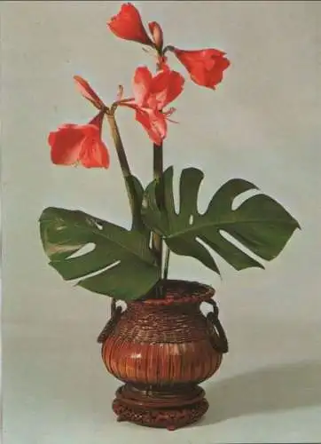 Ikebana Vorfreude