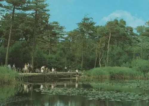 Cuxhaven - Sahlenburg, Fibkenmoorteich - 1989