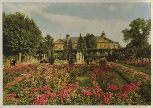 Bad Kissingen - Rosengarten - 1958