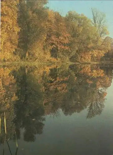 Herbstbaum - Wasserspiegelung