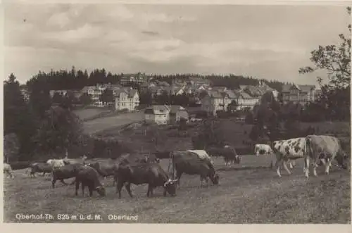 Oberhof - Oberland