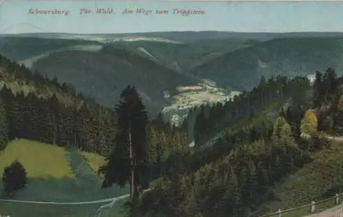 Schwarzburg - Am Wege zum Trippstein - 1926