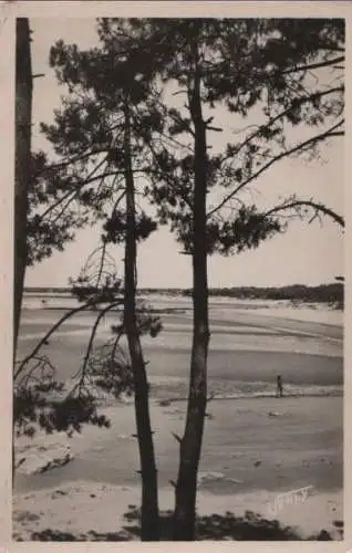 Frankreich - Frankreich - Saint-Brevin-les-Pins - A travers la Foret - ca. 1960