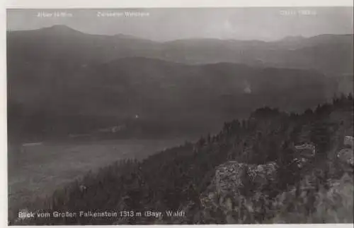 Bayerischer Wald - Blick vom Großen Falkenstein