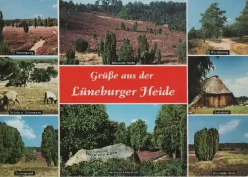 Lüneburger Heide - u.a. Schafstall - 2003