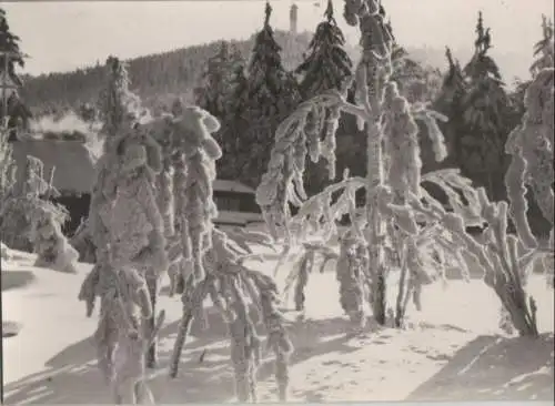 Kurort Oybin - Hain, Blick zum Hochwald - 1974