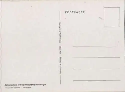 Dichternarzissen Arrangement