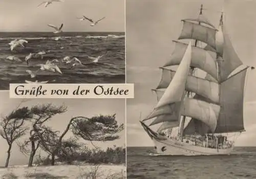 Ostsee - 3 Bilder