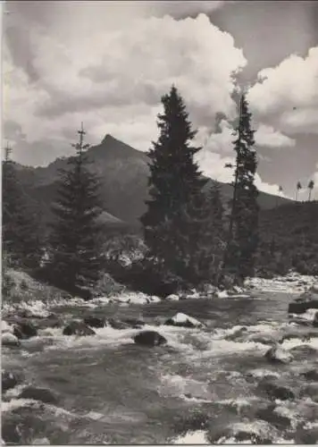 Slowakei - Slowakei - Vysoke Tatry - Hohe Tatra - Der Krivan - 1968