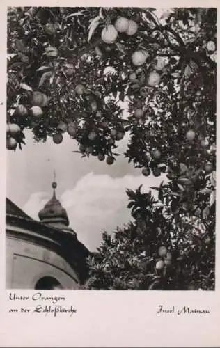 Mainau - Unter Orangen an der Schloßkirche - 1952