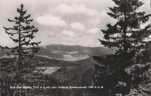 Belchen b. Schönau - Hotel Belchenhaus - ca. 1955