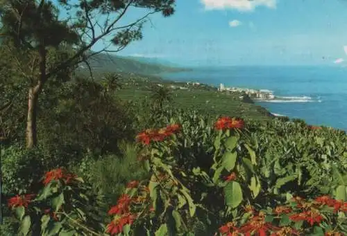 Spanien - Spanien - Puerto de la Cruz - Vista panoramica - 1982