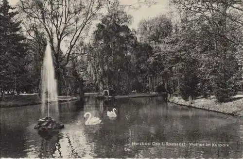 Bad Orb - Weiher im Kurpark