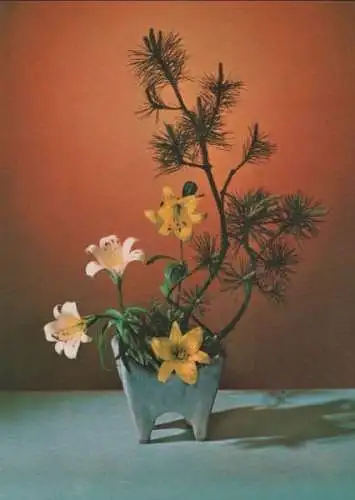 Ikebana Hoffen auf ein neues Licht