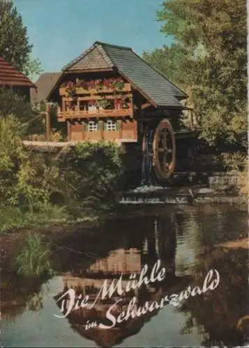 Schwarzwald - Mühle - 1972