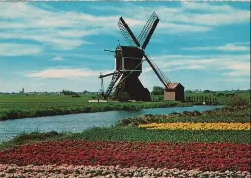 Niederlande - Niederlande - Holland - Bloemenland, Molenland - 1968