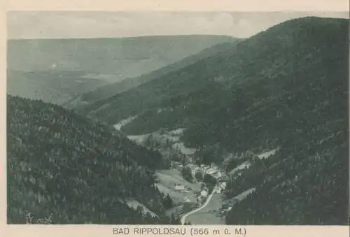 Bad Rippoldsau-Schapbach - von oben