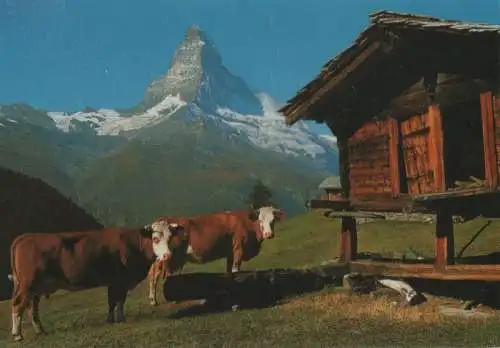 Schweiz - Zermatt - Schweiz - Findeln - Matterhorn