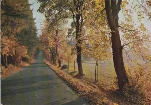 Bischofsgrün - Fichtelgebirge - Weg zur Luisenburg - 1967