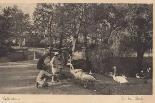 Niederlande - Rotterdam - Niederlande - In het Park