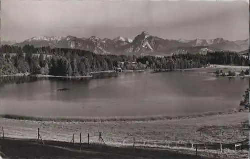 Schwaltenweiher - mit Hochplatte - 1953