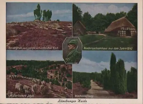 Lüneburger Heide - u.a. Wacholderweg - ca. 1960