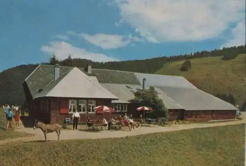 Münstertal-Untermünstertal - Almgaststätte Kälbelescheuer - ca. 1985