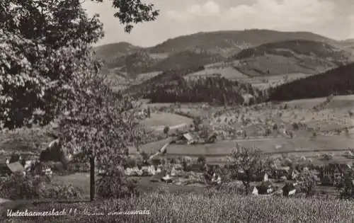 Zell-Unterharmersbach - Ansicht