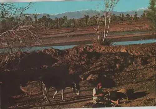 Marokko - Marokko - Amtoudi - Sur la route - ca. 1980