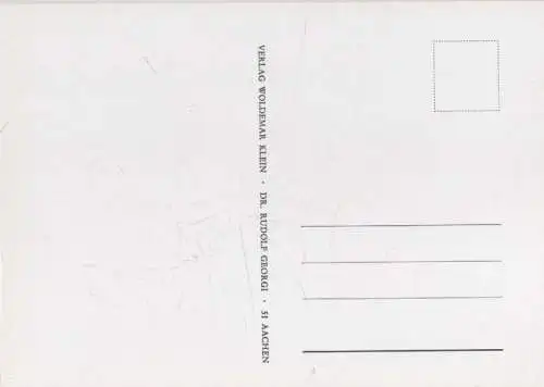 Rosa Damascena Italica blühend